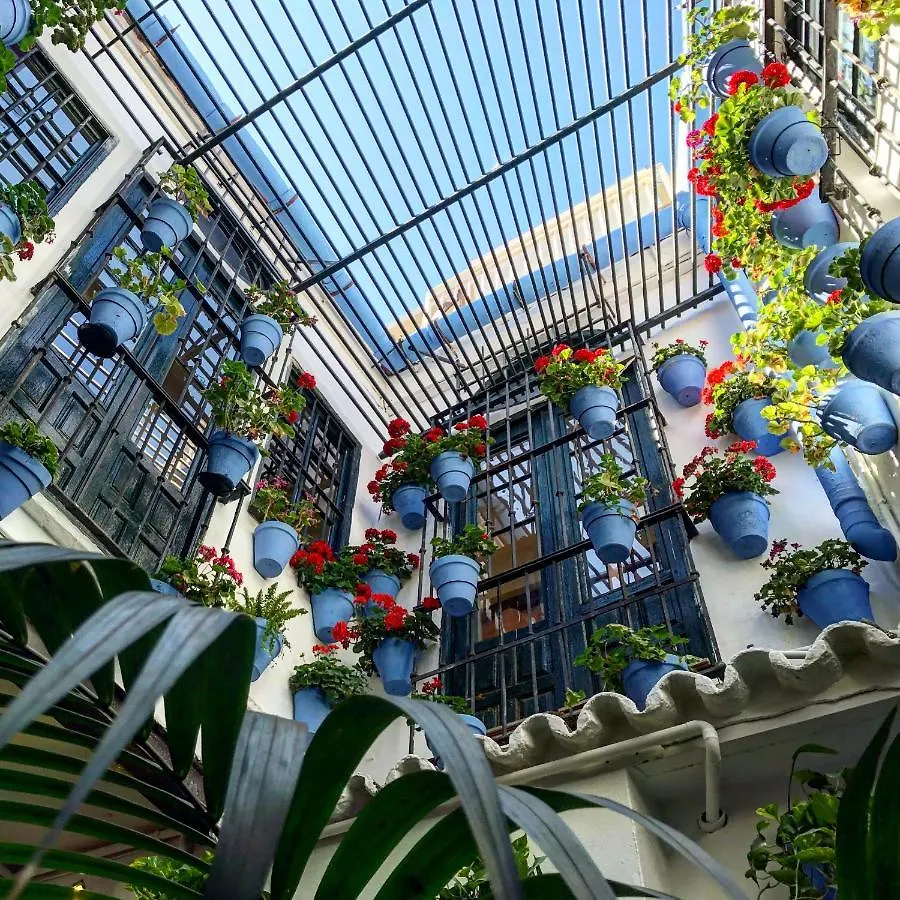 Picasso City Center 1A Malaga