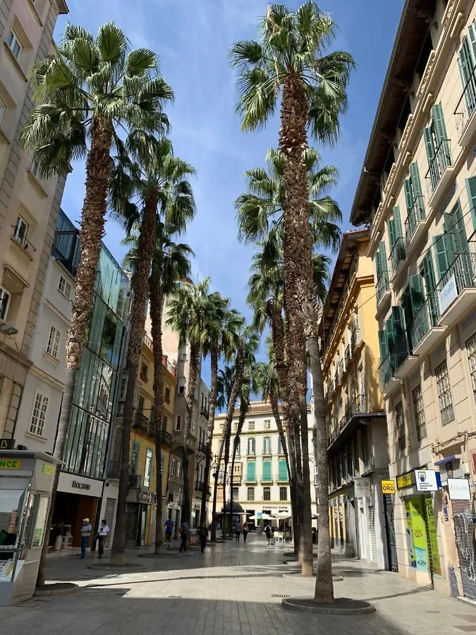 Picasso City Center 1A Apartment Malaga Spain