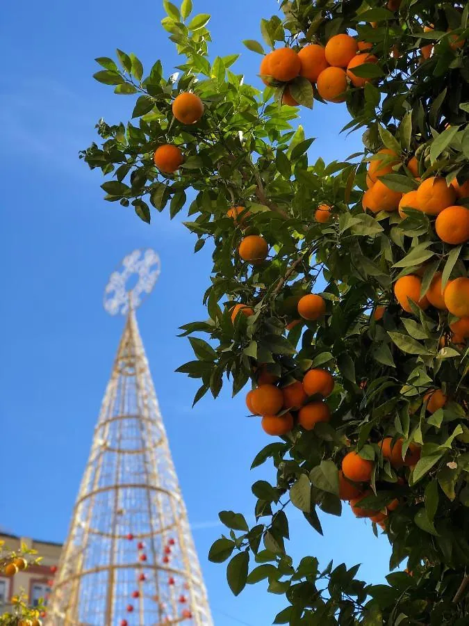 Picasso City Center 1A Apartment Malaga