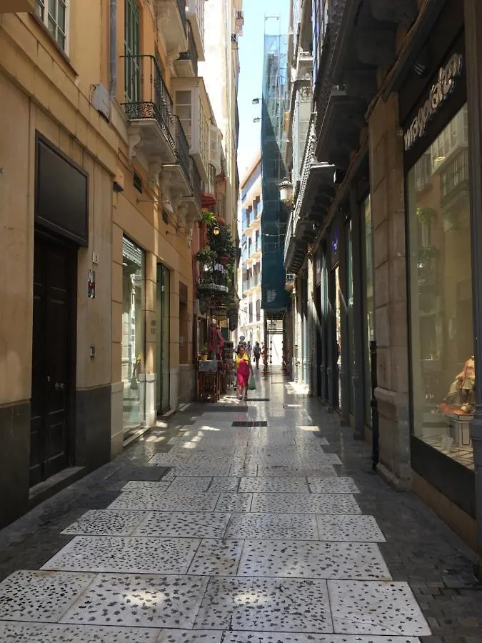 Picasso City Center 1A Malaga 0*,  Spain