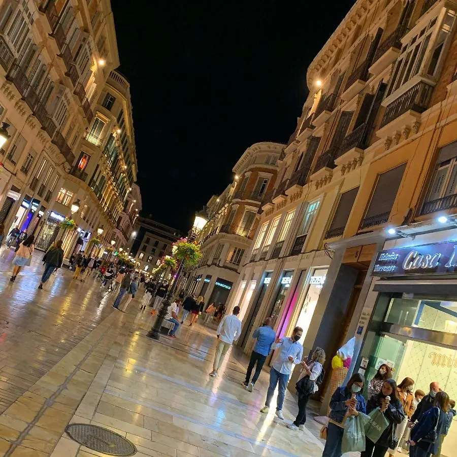 Picasso City Center 1A Malaga 0*,  Spain