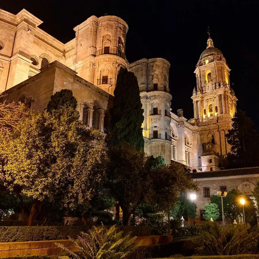 Picasso City Center 1A Malaga Spain